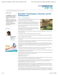 thumnail for Pollack - 2012 - Bemidbar Grasshoppers, Almonds, and the Anthropoc.pdf