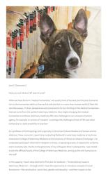thumnail for https:_medicalhealthhumanities_com_2020_12_05_towards_a_more_than_human_medical_humanities_an_invitation_and_provocation_11_7_2023_5_50_31_AM.pdf