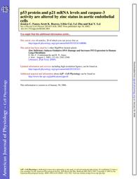 thumnail for Fanzo et al. - 2002 - p53 protein and p21 mRNA levels and caspase-3 acti.pdf