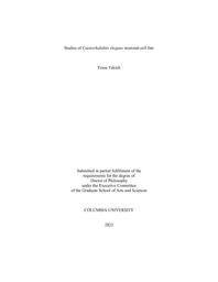 thumnail for Tekieli_columbia_0054D_17436.pdf