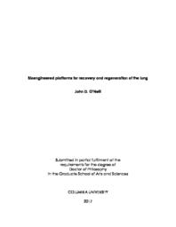 thumnail for ONeill_columbia_0054D_14148.pdf