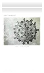 thumnail for https:_medicalhealthhumanities_com_2020_05_15_pathogenesis_a_visual_diary_of_covid_19_2023_11_7_6_30_43_AM.pdf