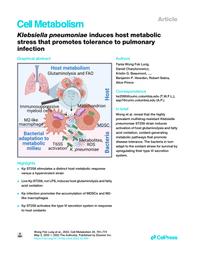 thumnail for Wong Fok Lung et al. 2022.pdf