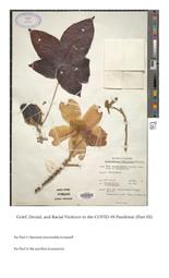 thumnail for https:_medicalhealthhumanities_com_2022_10_26_grief_denial_and_racial_violence_in_the_covid_19_pandemic_part_iii_11_7_2023_5_48_48_AM.pdf