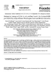thumnail for Geological storage of C02 in sub-seafloor basalt.pdf