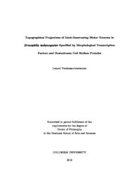 thumnail for Lalanti Venkatasubramanian Thesis Dissertation (High-resolution).pdf