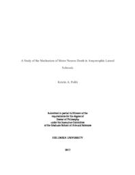 thumnail for Politi_columbia_0054D_14100.pdf