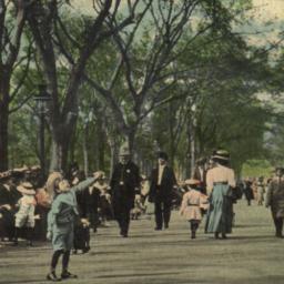 Scene in Central Park, New ...