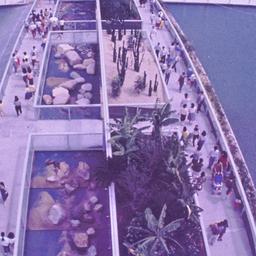 Aerial view, pedestrians on...