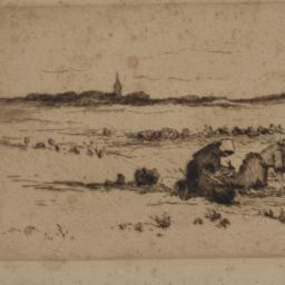 Gathering Shells