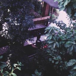 Aerial view, walkway throug...