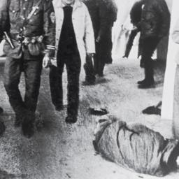 Wounded detainees on cement...