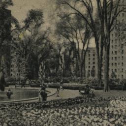 Parkchester - Tulip Time