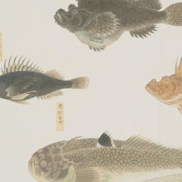 Group of Four Fish from the...