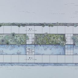Plan.