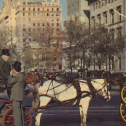 Carriages on 59th Street