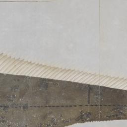 Group of Seven Fish from th...