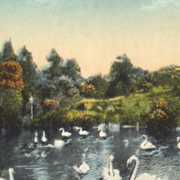 Swan Lake, Central Park, Ne...
