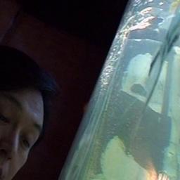Ye jing = Night scene