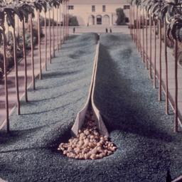 Model, aerial view.