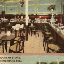 Stuyler's Brooklyn Stor...