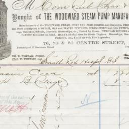 Woodward Steam Pump Manufac...