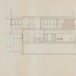 Cross, longitudinal sections