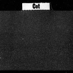 Carnegie Index Cards, Activ...