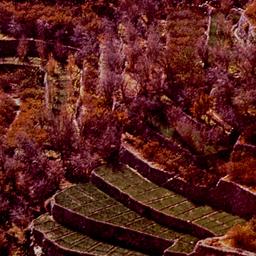 Aerial view, terraced fields.