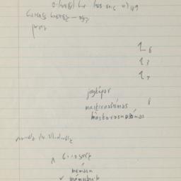 Western questionnaire, blue...