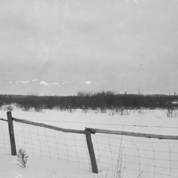 Landscape, Orr, Minnesota