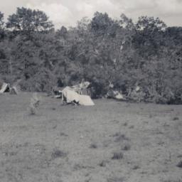 Round-Up Camp