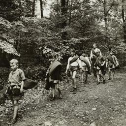 Hike in the Woods