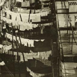 Clotheslines on Roofs and B...