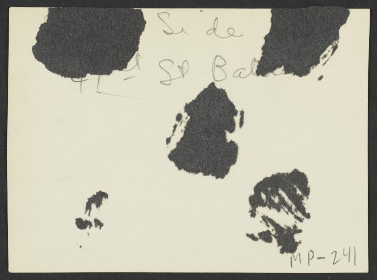 Verso
