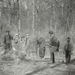 Men Clearing Trees