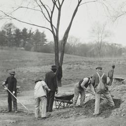 Men Clearing Land